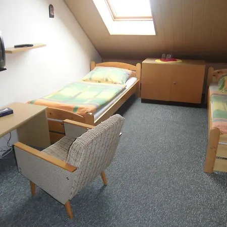 Kupkova Ubytovani V Soukromi Brno Room photo
