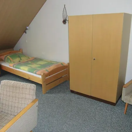 Kupkova Ubytovani V Soukromi Brno Room photo